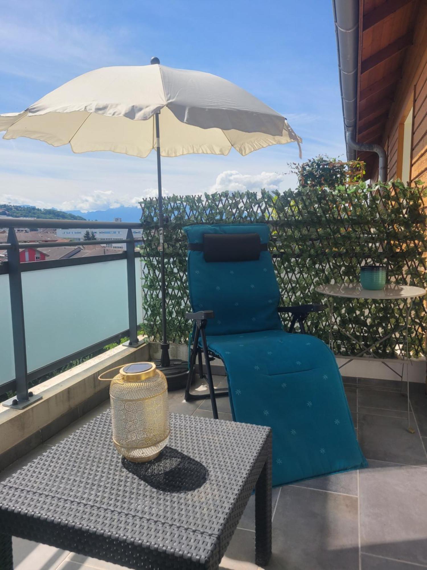 Apartamento Joli T2 Proche Gare Avec Vue Annemasse Exterior foto